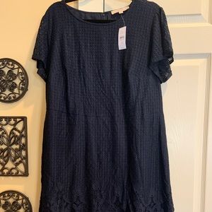 NWT Loft Navy Lace Mini Dress